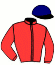 Casaque du jockey de Jigsaw Puzzle