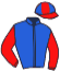 Casaque du jockey de Ermes Effesse