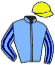 Casaque du jockey de Ivarun