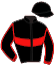 Casaque du jockey de Heraldique