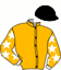 Casaque du jockey de Toto Barosso