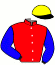 Casaque du jockey de Je Te Cherche