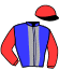 Casaque du jockey de Gipsy De Chamant