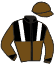 Casaque du jockey de Chestnut