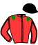 Casaque du jockey de Isolaccio