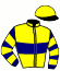 Casaque du jockey de Hercule Du Parc