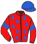 Casaque du jockey de Hatchi Du Klau