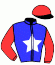 Casaque du jockey de Lumio Erca