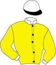 Casaque du jockey de Igor De Kor