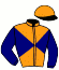 Casaque du jockey de Feu Du Bresil