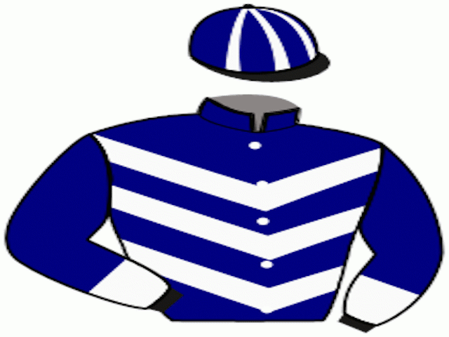 Casaque du jockey de Malkia