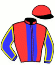 Casaque du jockey de Goko Win