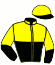 Casaque du jockey de Great One