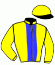 Casaque du jockey de Falcon Jet