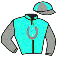 Casaque du jockey de Vizindi