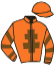 Casaque du jockey de Royal Saxo