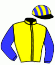 Casaque du jockey de Ter Fortuna